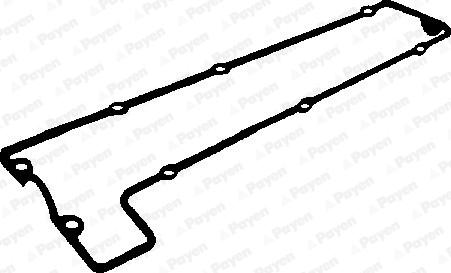 Payen JN621 - Прокладка, крышка головки цилиндра autosila-amz.com
