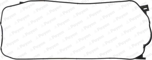Payen JN679 - Прокладка, крышка головки цилиндра autosila-amz.com