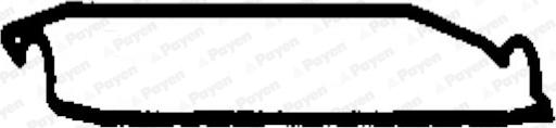Payen JN744 - Прокладка, крышка головки цилиндра autosila-amz.com