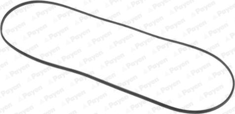 Payen JN707 - Прокладка, крышка головки цилиндра autosila-amz.com