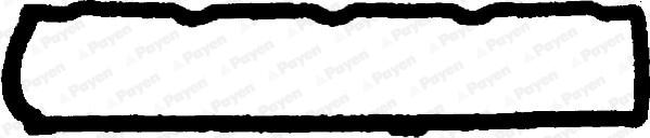 Payen JN732 - Прокладка, крышка головки цилиндра autosila-amz.com