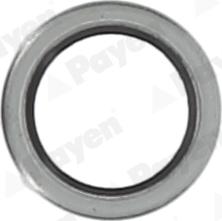 Payen KG5011 - Уплотнительное кольцо, резьбовая пробка маслосливного отверстия autosila-amz.com
