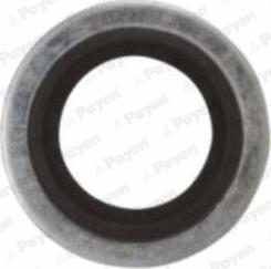 Payen KG5012 - Уплотнительное кольцо, резьбовая пробка маслосливного отверстия autosila-amz.com