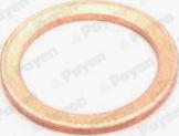 Payen KG5158 - Уплотнительное кольцо, резьбовая пробка маслосливного отверстия autosila-amz.com