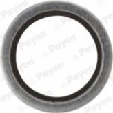 Payen KG5341 - Уплотнительное кольцо, резьбовая пробка маслосливного отверстия autosila-amz.com