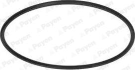 Payen KH007 - Уплотняющее кольцо вала, масляный насос autosila-amz.com