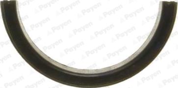 Payen LV501 - Уплотняющее кольцо, коленчатый вал autosila-amz.com