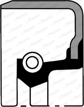 Payen NF185 - Уплотняющее кольцо, сальник, ступица колеса autosila-amz.com