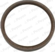 Payen NA5359 - Уплотняющее кольцо, коленчатый вал autosila-amz.com