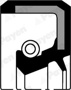 Payen NJ527 - Уплотняющее кольцо, сальник, ступица колеса autosila-amz.com