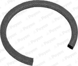 Payen PA815 - Уплотняющее кольцо, коленчатый вал autosila-amz.com