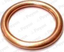 Payen PB907 - Уплотнительное кольцо, резьбовая пробка маслосливного отверстия autosila-amz.com