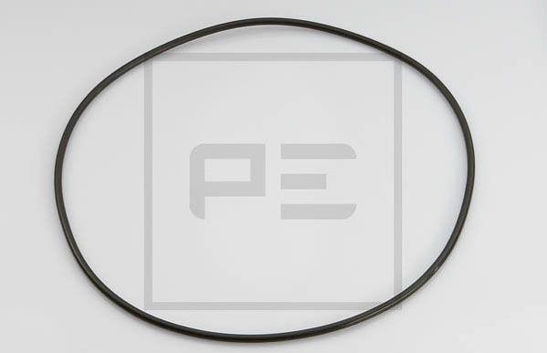 PE Automotive 029.025-00A - кольцо уплотнительное резиновое! задн.ступицы 255x5\ MB Actros/Atego autosila-amz.com