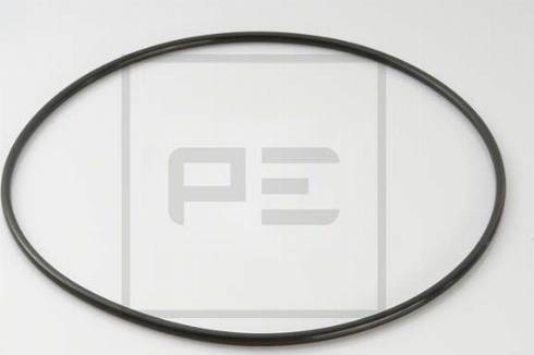 PE Automotive 120.419-00A - Уплотнительное кольцо autosila-amz.com