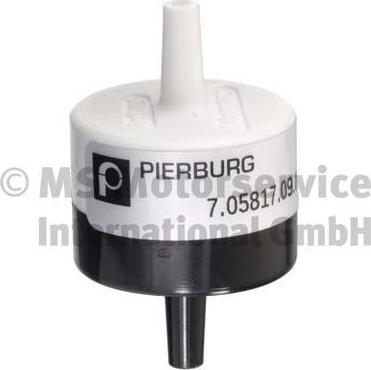Pierburg 7.05817.09.0 - Клапан, система вторичного воздуха autosila-amz.com