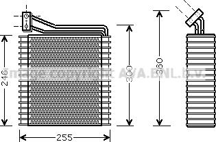 Prasco CRV089 - Испаритель, кондиционер autosila-amz.com