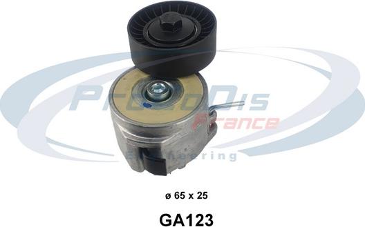 Procodis France GA123 - Натяжитель, поликлиновый ремень autosila-amz.com