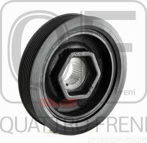 Quattro Freni QF51A00009 - Шкив коленчатого вала autosila-amz.com