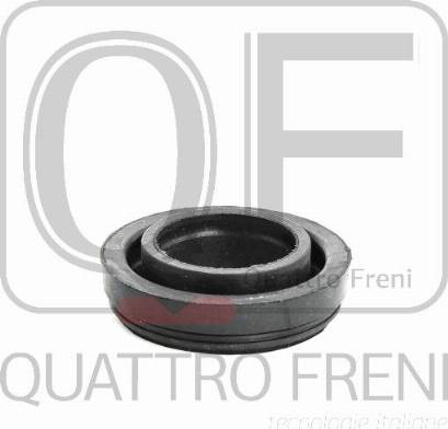 Quattro Freni QF53A00004 - Уплотнительное кольцо, шахта свечи autosila-amz.com