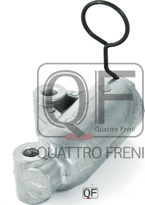 Quattro Freni QF00100162 - Натяжная планка, ремень ГРМ autosila-amz.com