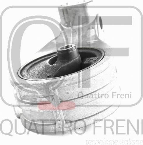 Quattro Freni QF00A00252 - Подушка, опора, подвеска двигателя autosila-amz.com