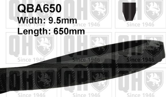 Quinton Hazell QBA650 - Клиновой ремень, поперечные рёбра autosila-amz.com