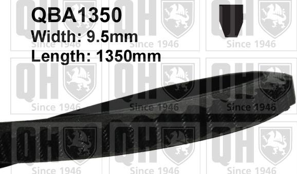 Quinton Hazell QBA1350 - Клиновой ремень, поперечные рёбра autosila-amz.com