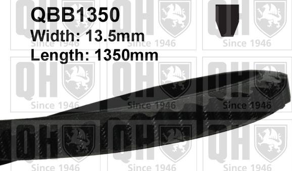 Quinton Hazell QBB1350 - Клиновой ремень, поперечные рёбра autosila-amz.com