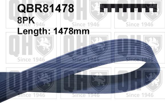 Quinton Hazell QBR81478 - Поликлиновой ремень autosila-amz.com