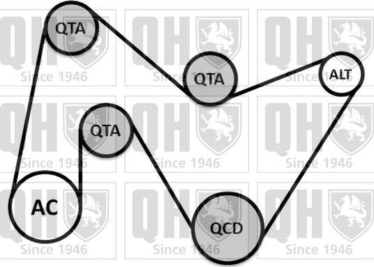 Quinton Hazell QDK146 - Поликлиновый ременный комплект autosila-amz.com