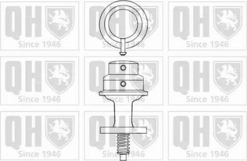 Quinton Hazell QFP313 - Топливный насос autosila-amz.com