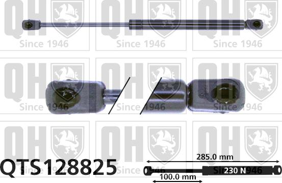 Quinton Hazell QTS128825 - Газовая пружина, упор autosila-amz.com