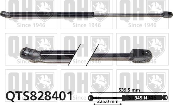 Quinton Hazell QTS828401 - Газовая пружина, упор autosila-amz.com