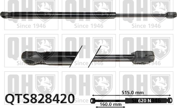 Quinton Hazell QTS828420 - Газовая пружина, упор autosila-amz.com