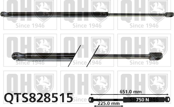 Quinton Hazell QTS828515 - Газовая пружина, упор autosila-amz.com