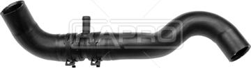 Rapro R41117 - Шланг радиатора autosila-amz.com