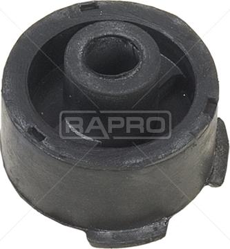 Rapro R59229 - Подвеска, радиатор autosila-amz.com
