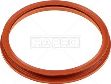 Rapro R54283 - Хомут, воздушный шланг компрессора autosila-amz.com