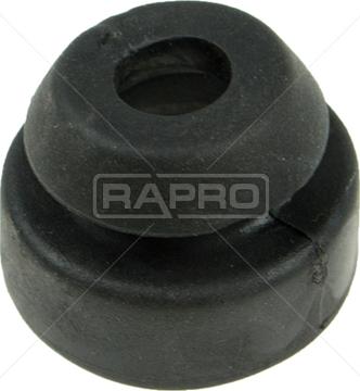 Rapro R51665 - Подвеска, радиатор autosila-amz.com