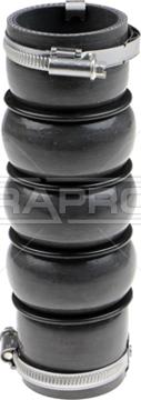 Rapro R15669 - Трубка, нагнетание воздуха autosila-amz.com