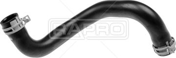 Rapro R15682 - Шланг радиатора autosila-amz.com
