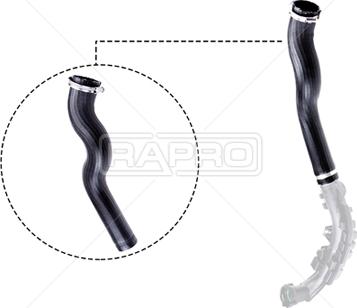 Rapro R12658 - Трубка, нагнетание воздуха autosila-amz.com