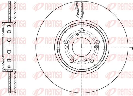 Remsa 61753.10 - Тормозной диск autosila-amz.com