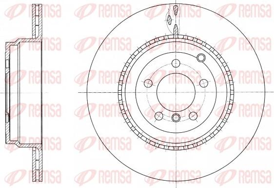 Remsa 61762.10 - Тормозной диск autosila-amz.com