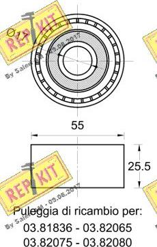 REPKIT RKT3553 - Ролик, поликлиновый ремень autosila-amz.com