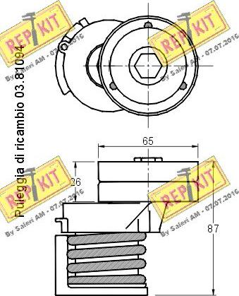 REPKIT RKT2809 - Натяжитель, поликлиновый ремень autosila-amz.com