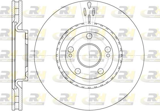Roadhouse 6696.10 - Тормозной диск autosila-amz.com