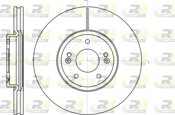 Roadhouse 61102.10 - Тормозной диск autosila-amz.com