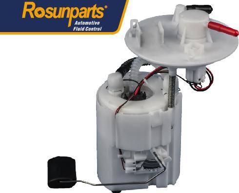 Rosunparts FB5134 - Топливный насос autosila-amz.com