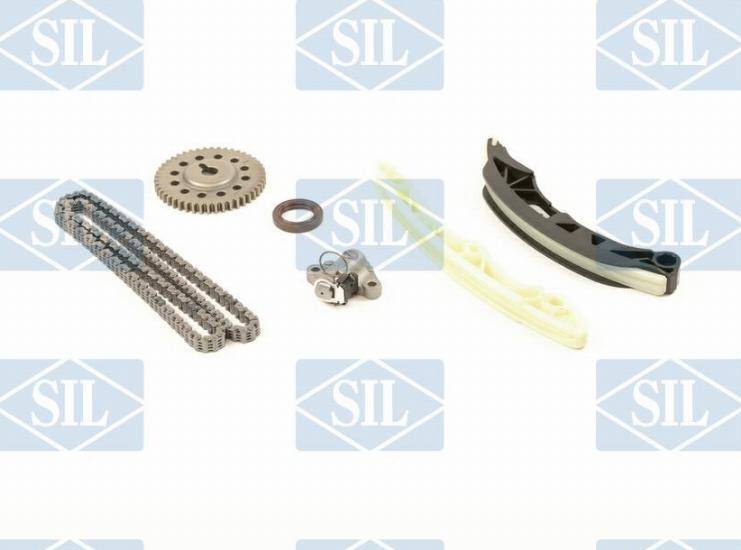 Saleri SIL CK5080 - Комплект цепи привода распредвала autosila-amz.com